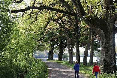 SENTIER LA TRICHERIE - LES BOIS VERTS - MESNAR ...
