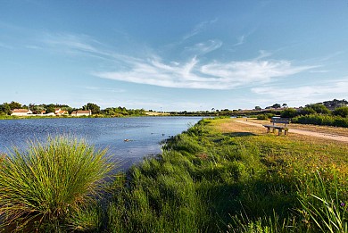 SENTIER À LA CAMPAGNE N°8