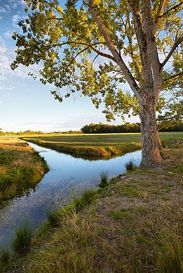 CIRCUIT VERS L'OCÉAN N°17
