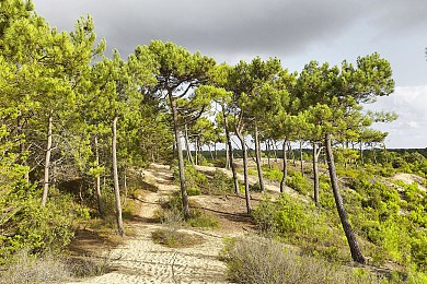 PROMENADE LES HAUTS PEYS N°29