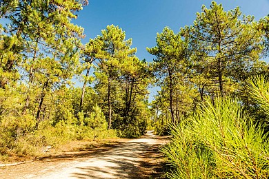 CIRCUIT DE LA DUNE N°30