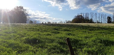 Circuit des deux bourgs