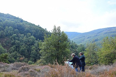 The Labans Trail