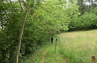 Sentier de Peyrolles