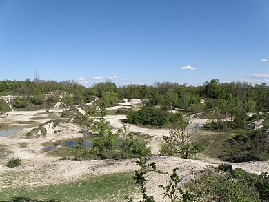 Auch : Sentier botanique - Carrière Saint-Cricq