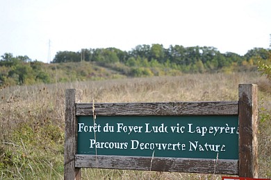 Auch : Sentier botanique Ludovic Lapeyrère
