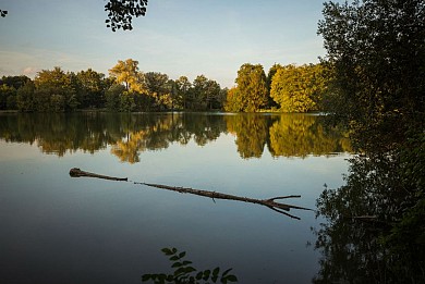 Sentier pédestre Le Libaud