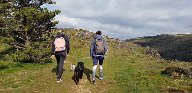 Dans les pas de Dom Robert