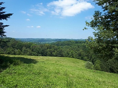 N°87 Coteaux de la Bastarde
