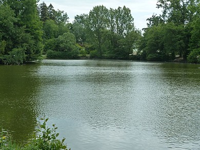 Balade à roulettes : Le Parc Bourran