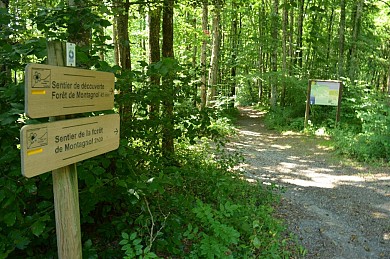 Sentier de découverte de la forêt de Montagnol