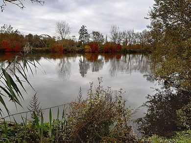 Circuit des vignes à Sireuil