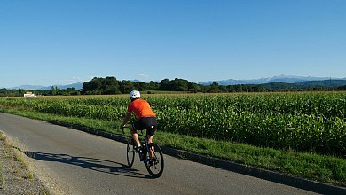 Route N°18 - La route des palombes