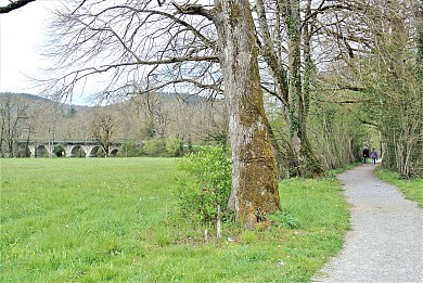 Voie douce de Brassac à Bouissas via Saint Agnan