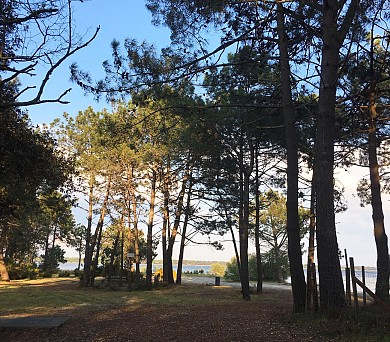 Sentier des chevreuils sportifs - Réserve Natu ...