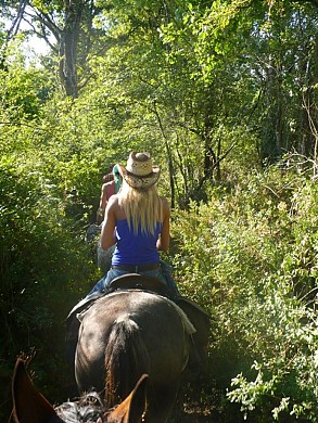 Sentier équestre en forêt de Longeville sur Mer