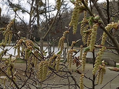 Balade à roulettes : Domaine de loisirs de Bla ...