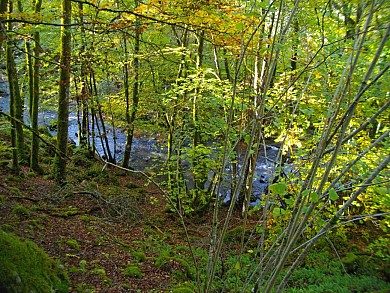 Au fil de la Sarsonne