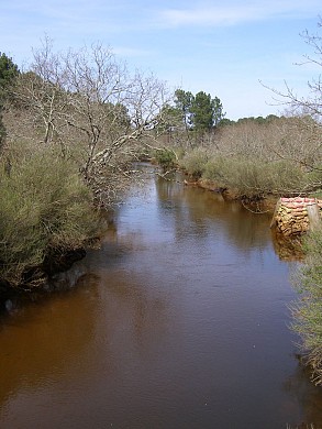 Le canal des étangs