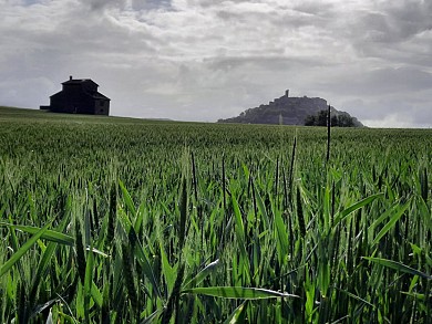 Huttopia pays de Cordes sur Ciel - Cordes sur  ...