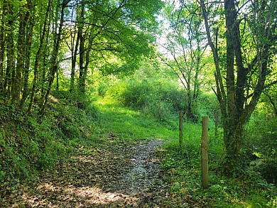 Camin dels Rius at Lafitte