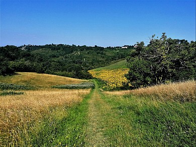 Les coteaux de Moissac à Boudou