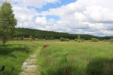 La tourbière du Longeyroux (pédestre au départ ...