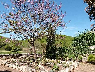 Boucle Bois et Prés n° 24 / Coly Saint-Amand