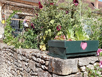 Balade de la biodiversité : Boucle de Carpe Di ...