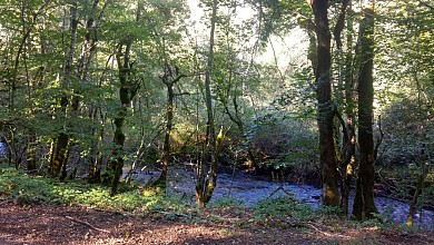 Sur les traces des chevaliers de l'Ordre de Ma ...