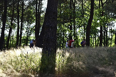 CHEMIN DES CHÂTAIGNES - DÉPART DE SAINT-MAURIC ...