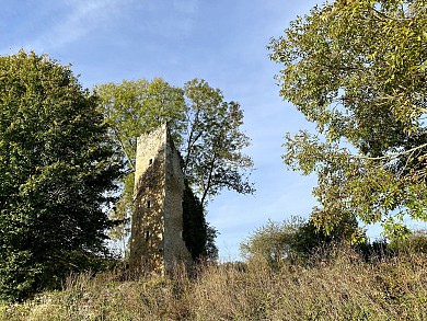 LE BOIS DU THOUAS N°34