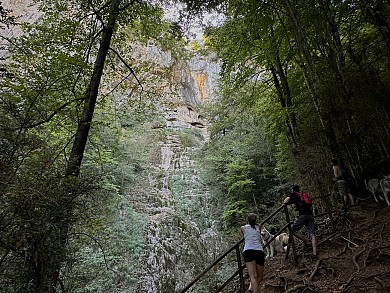 ARBAS : CASCADE DE PLANQUE