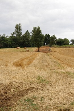 BOUCLE DU GRES-OUEST