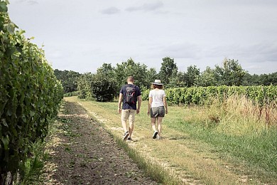 RANDO SENSORIELLE "ENTRE LES VIGNES : LE SERAP ...
