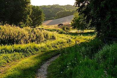 LE SENTIER AUX PAPILLONS