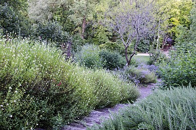 DU PECHABE AU RIOU D'EMBOUET