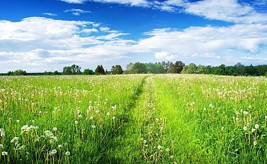 BOUCLE DE BRETX-THIL