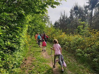 LE BOIS DE BEAUPUY - PR14
