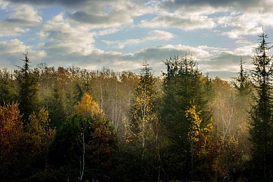 CIRCUIT DE LA LIBELLULE