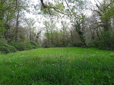 BOUCLE DE LA LINDE - LE GARROS