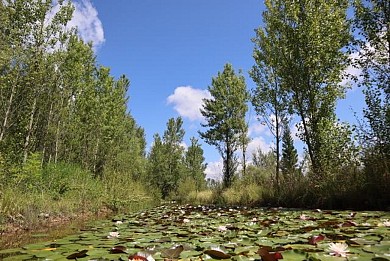 Sentier Les Laurentides