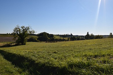 Boucle de la Soulège à Saint-Quentin-de-Caplong