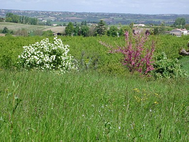 Lévignac-de-Guyenne, la balade de la bastide