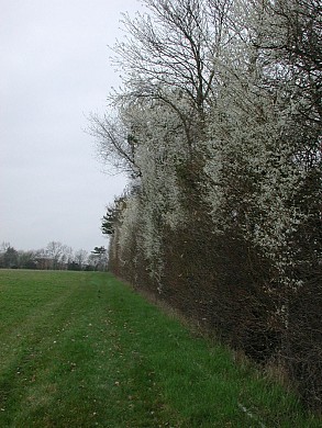 St-Aubin, la randonnée de Couzétou