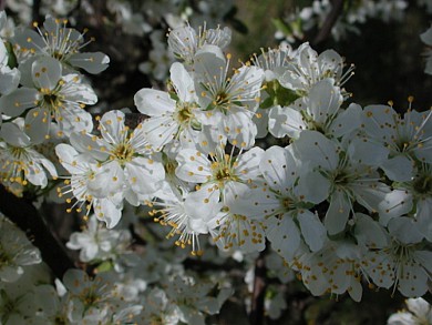 Dolmayrac, un circuit panoramique