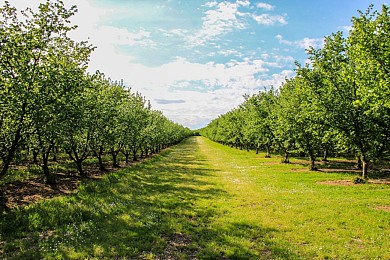 Cancon, en route vers l'église de Millac
