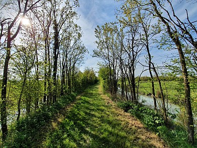 CIRCUIT PÉDESTRE DE BAUDE (PETIT)