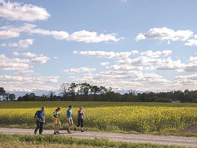 Andoins : La belle Corisande