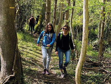 Ouillon : chemin des bergers